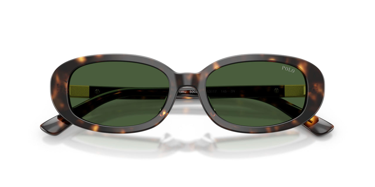 500371 - Tortoise - Bottle Green