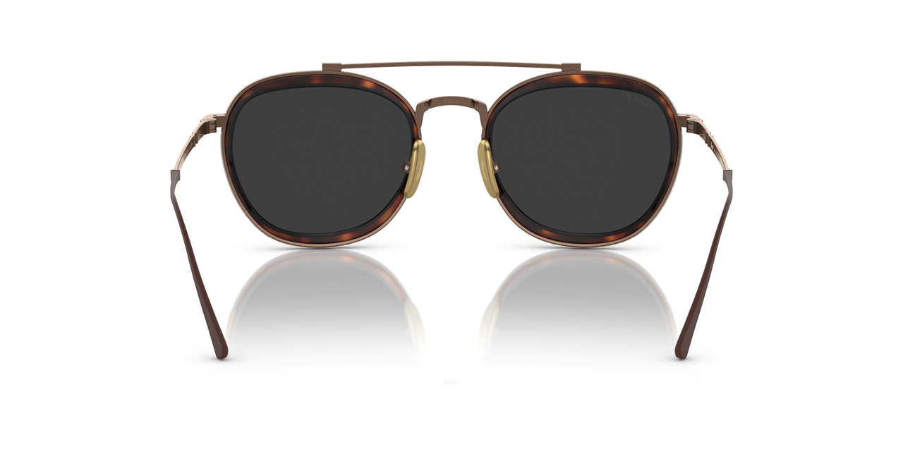 801648 - Brown - Polar Black + Ar