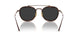 801648 - Brown - Polar Black + Ar