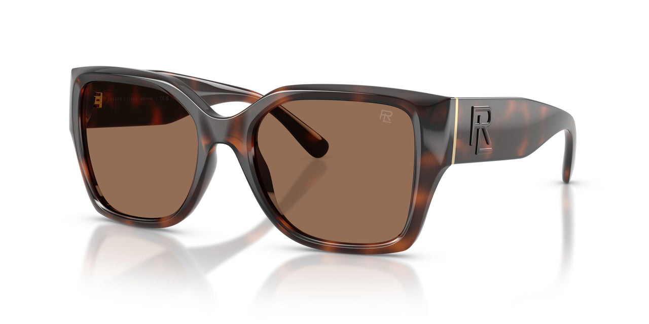 624173 - Tortoise - Brown