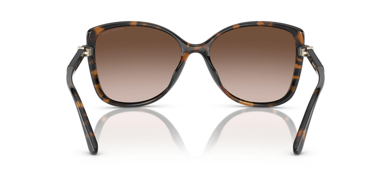 300613 - Tortoise - Brown Gradient