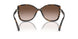 300613 - Tortoise - Brown Gradient