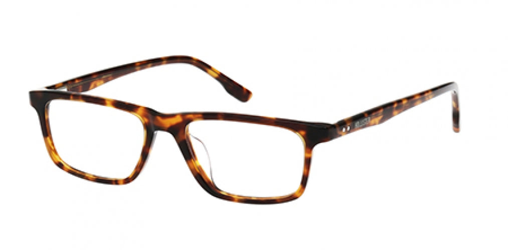 HOLLISTER 50043 Eyeglasses