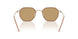 300273 - Gold - Brown