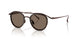 343073 - Brown - Brown