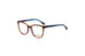 10 - DVO8295. Brown 5218