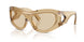 412373 - Brown - Light Brown