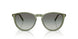 318711 - Green - Gradient Grey
