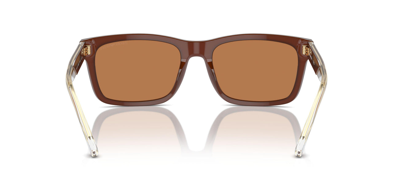 609573 - Brown - Brown