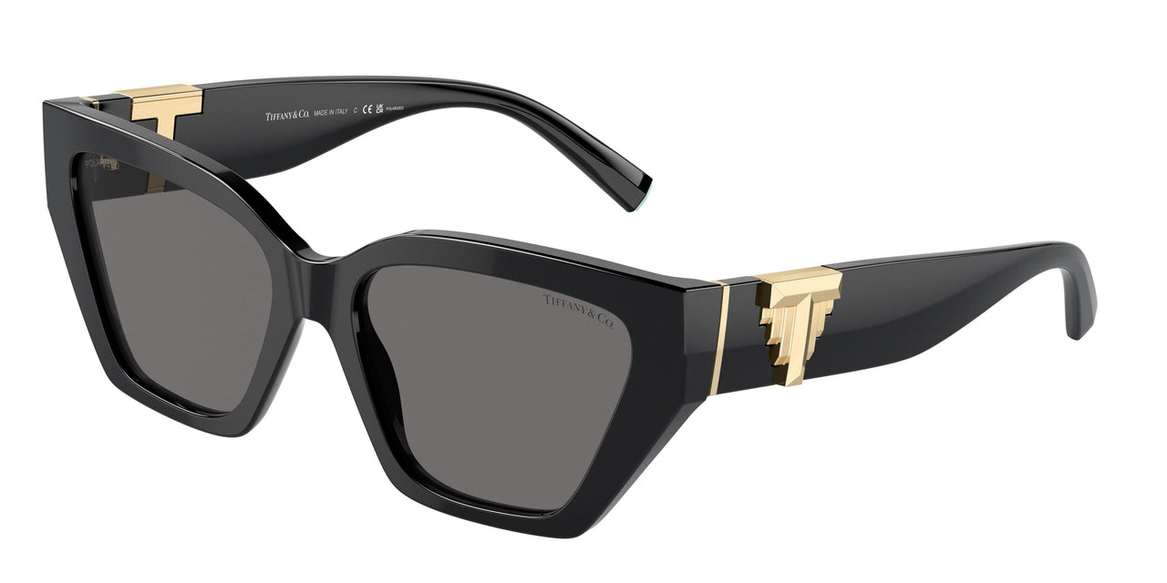 800181 - Black - Dark Grey Polarized