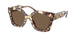199573 - Tortoise - Dark Brown
