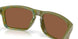 924482 - Green - Prizm Tungsten Polarized