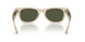 146031 - Beige - Green