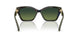 3902T4 - Green - Olive Polarized