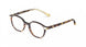 Etnia Barcelona ANVERS P 20 Eyeglasses