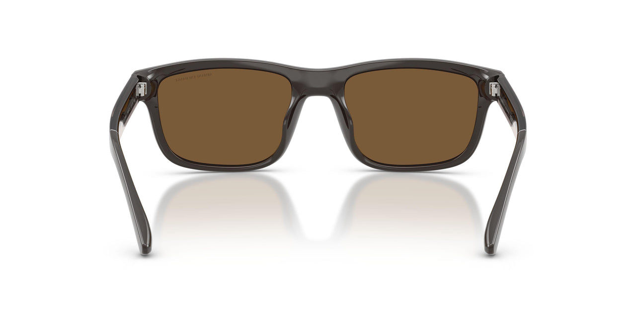 840573 - Brown - Brown