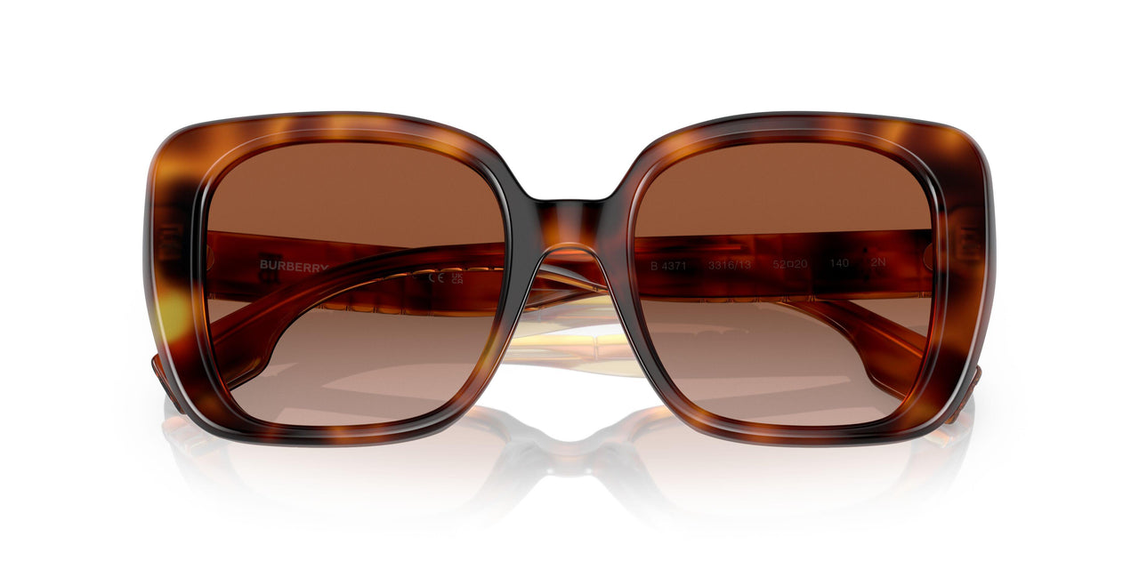 331613 - Havana - Brown Gradient