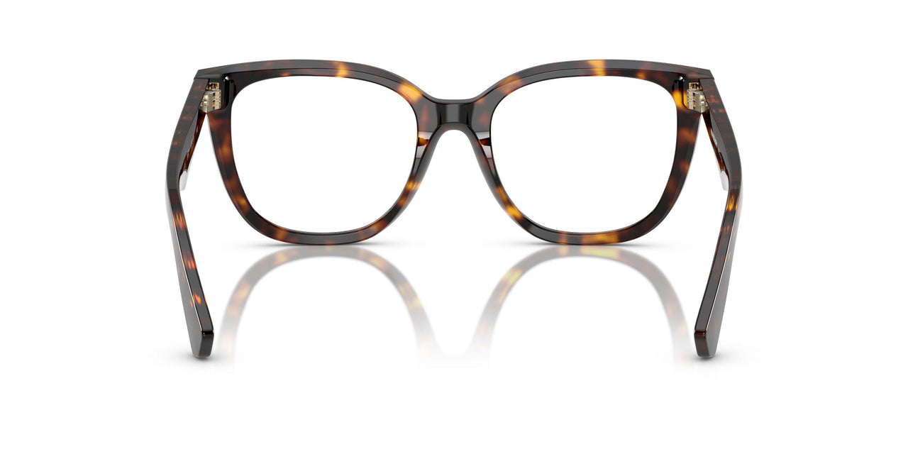3002 - Brown