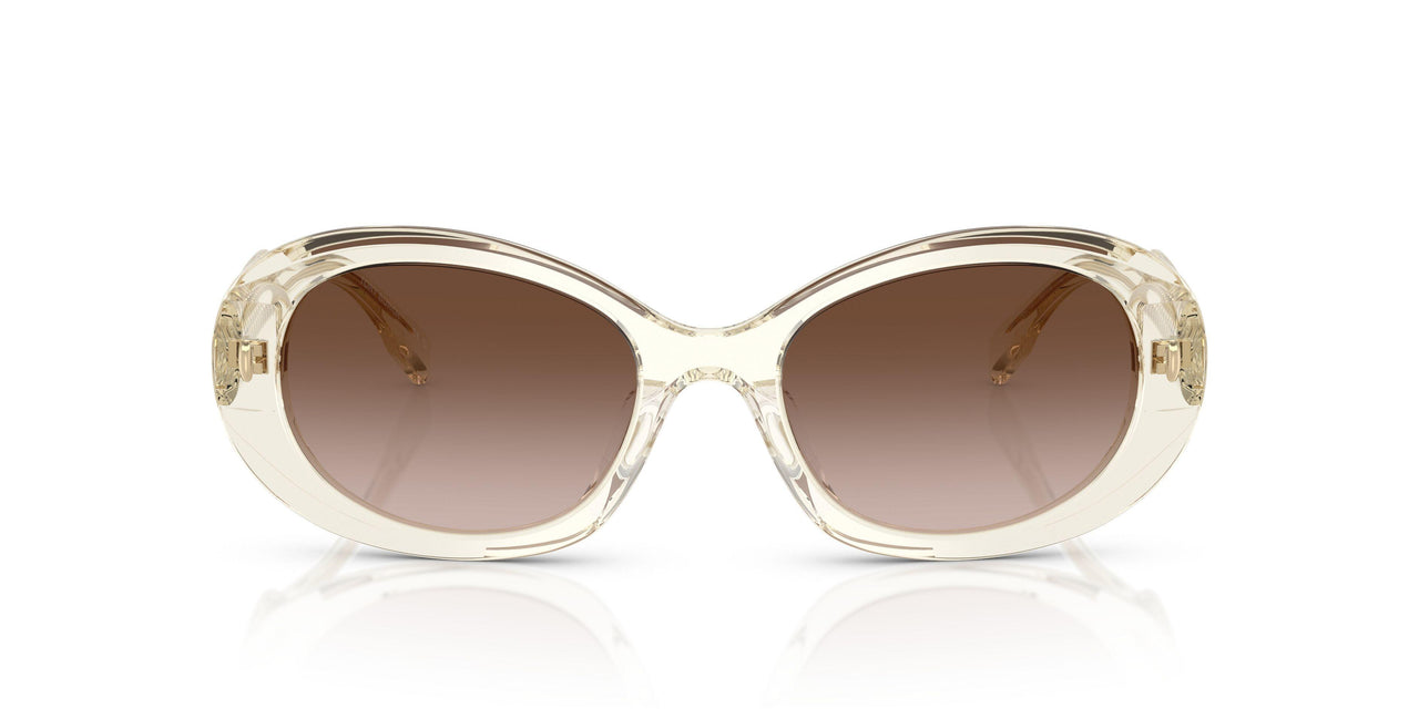 195213 - Transparent - Brown Gradient