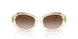 195213 - Transparent - Brown Gradient