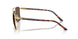 11568T - Gold - Dark Brown