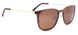 C2 - Gold Brown