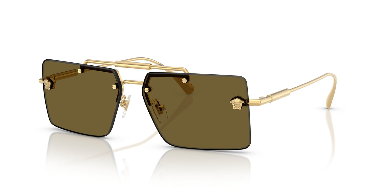 100273 - Gold - Dark Brown