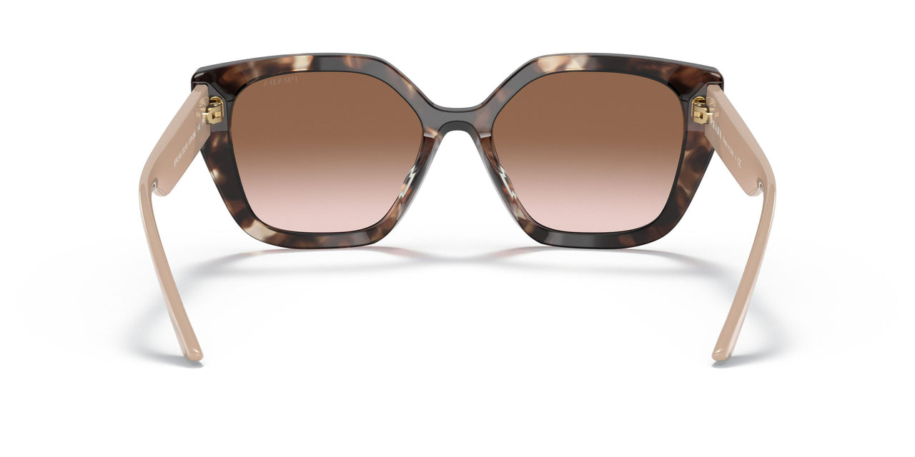 07R0A6 - Havana - Brown Gradient