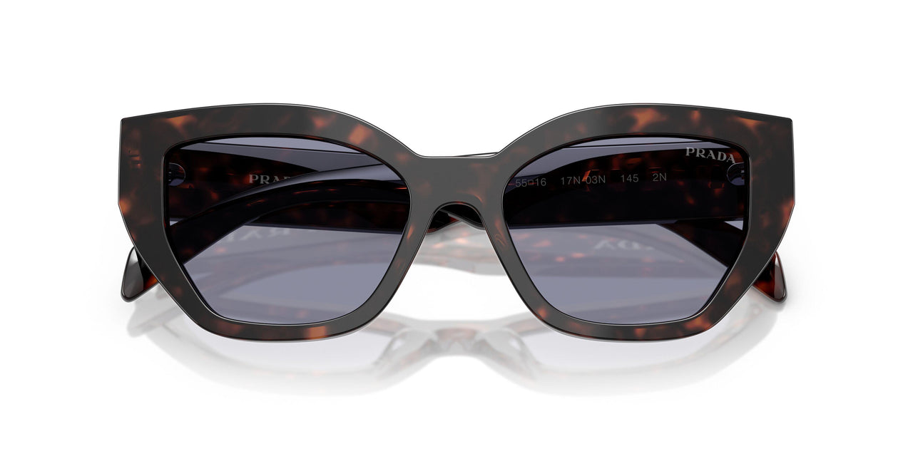 17N03N - Tortoise - Grey