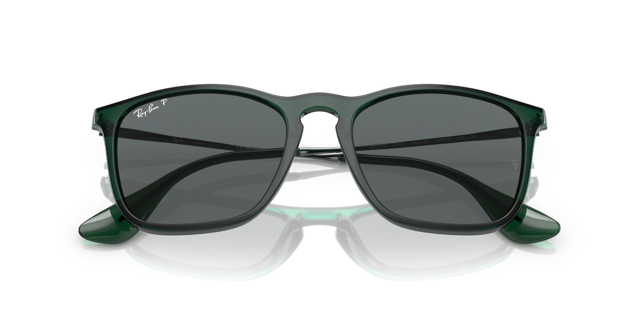 666381 - Green - Dark Grey Polar