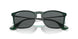 666381 - Green - Dark Grey Polar