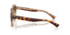 141451 - Tortoise - Clear Gradient Brown