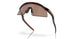 922902 - Brown - Prizm Tungsten