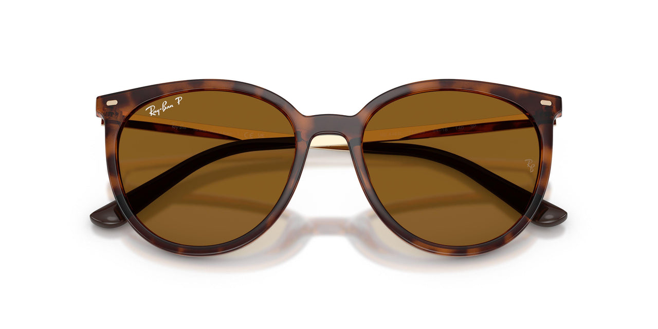 710/83 - Brown - Dark Brown Polarized