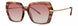 Paradigm Goldie Sunglasses