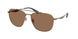 Coach Cw404 7172 Sunglasses