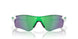 920602 - Matte White - Slate Iridium