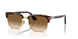 24/51 - Tortoise - Clear Gradient Brown