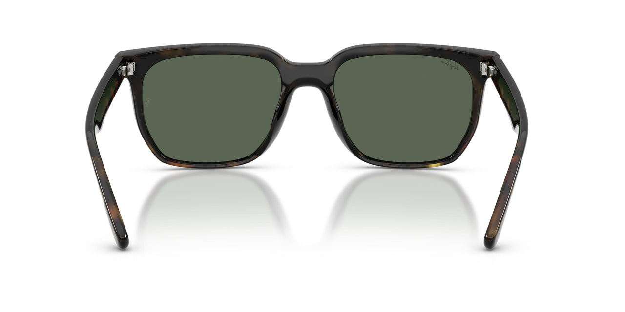 710/71 - Tortoise - Dark Green
