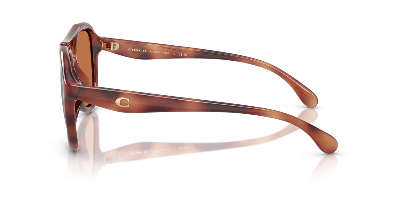 577473 - Tortoise - Brown Solid