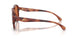 577473 - Tortoise - Brown Solid