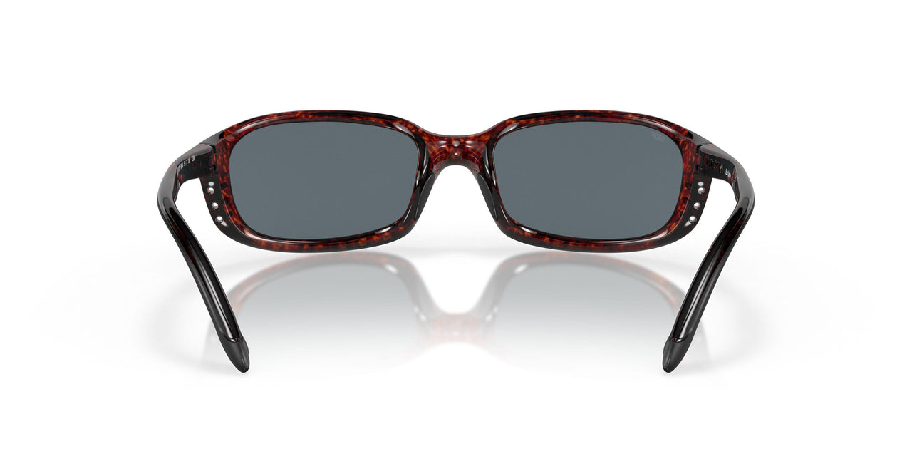 901705 - 10 Tortoise - Blue Mir 580p