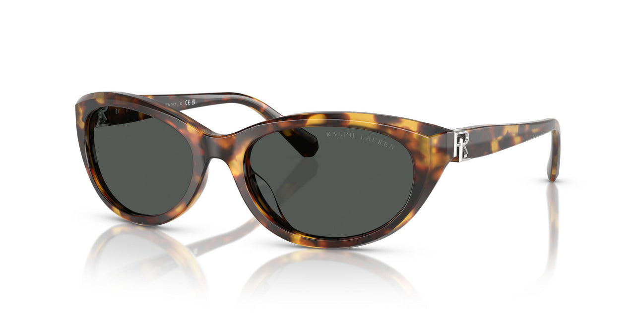 513487 - Tortoise - Grey