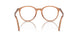 1213 - Brown