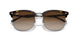 710/13 - Tortoise - Brown