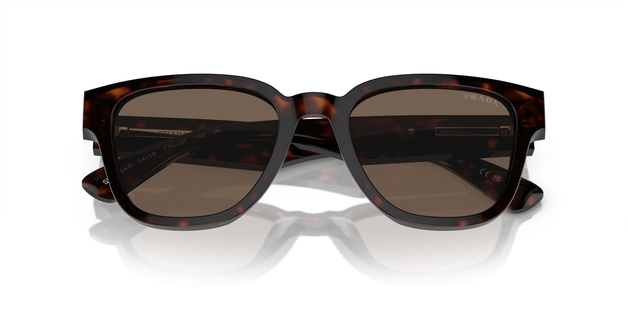17N08T - Tortoise - Brown