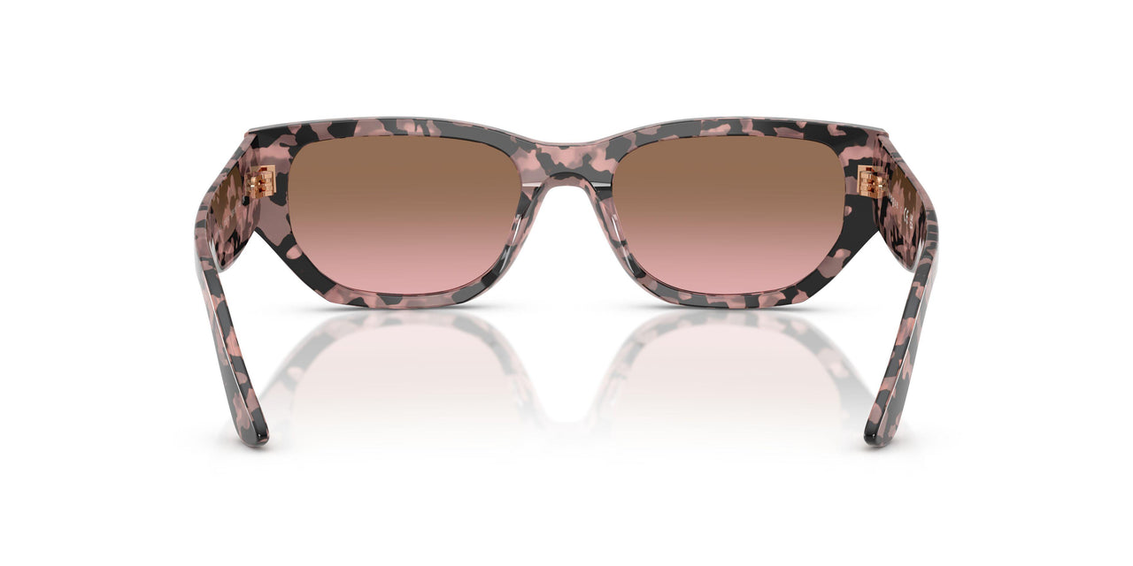 315014 - Tortoise - Pink Gradient Brown