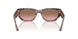 315014 - Tortoise - Pink Gradient Brown