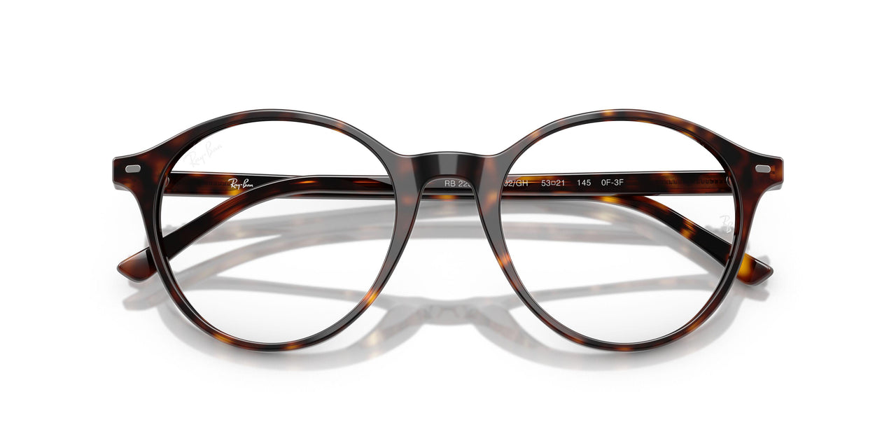 902/GH - Tortoise - Transitions 8 Grey