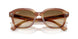 140351 - Tortoise - Clear Gradient Brown